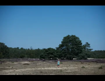 Camping bij het Drouwenerzand in Drenthe