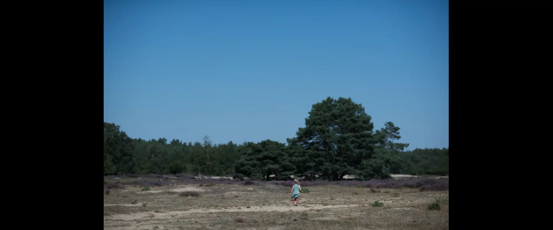 Camping bij het Drouwenerzand in Drenthe