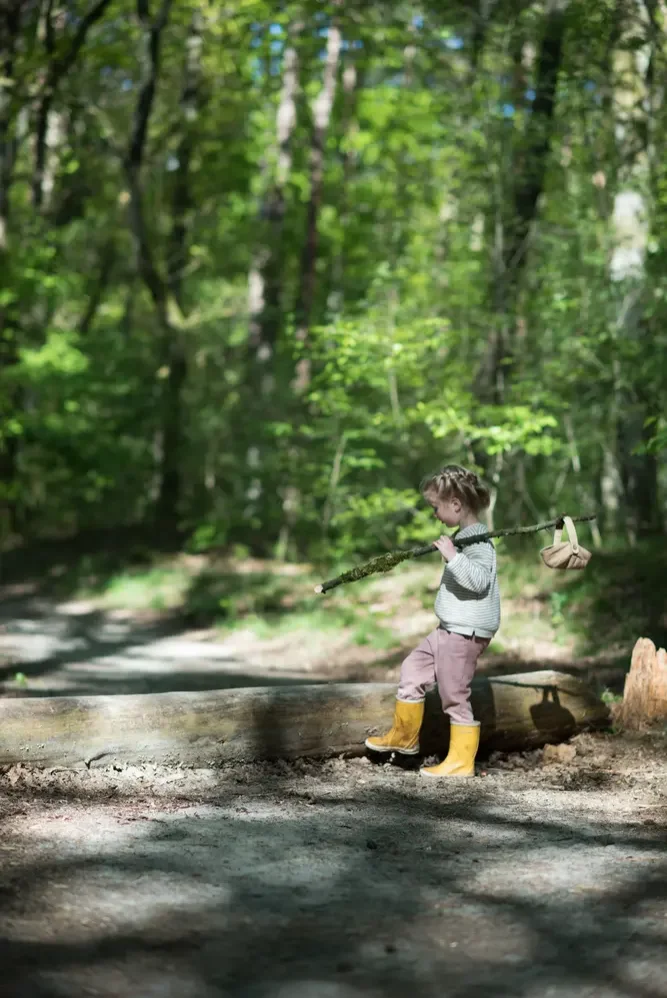 Bos achter de camping in Drenthe