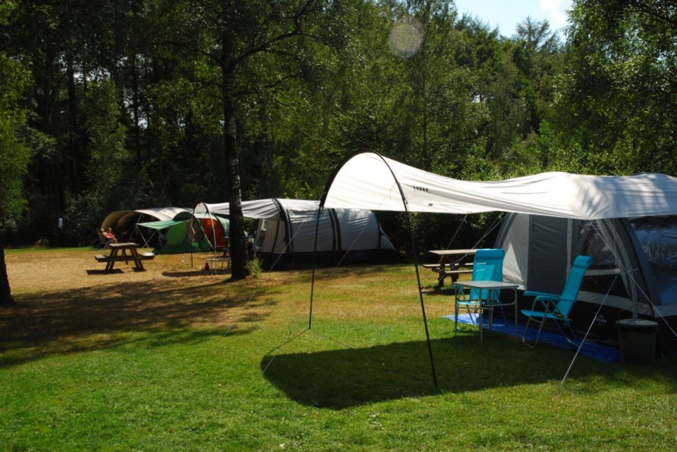 kampeerplaats-met-luifel-camping-de-berken.jpg