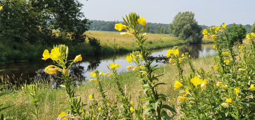 Ontdek de omgeving van Assen vanuit een natuurhuisje.jpg