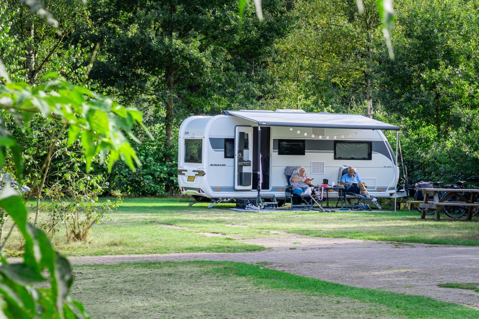 Berken najaar high res-23.jpg