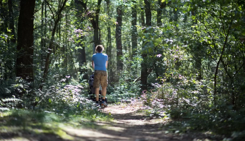 Kindercamping bij het bos in Drenthe