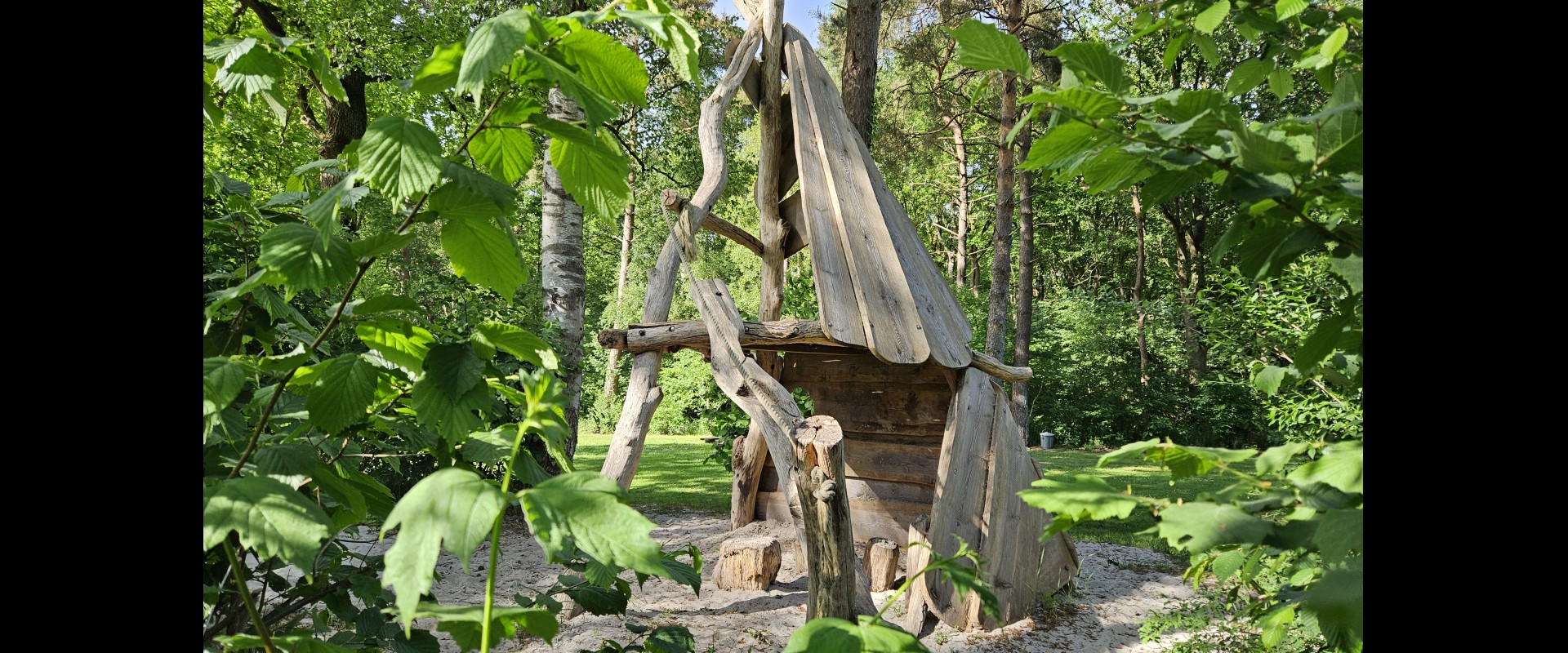 20250514_172937.jpg
