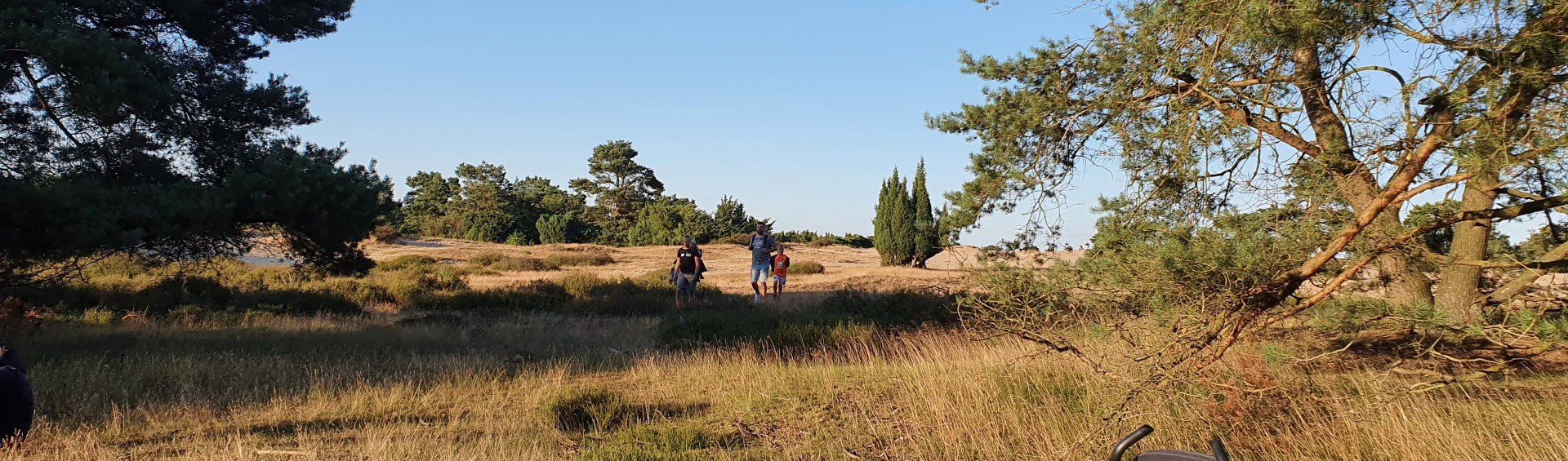 wandelen-natuur-bij-borger-drouwenerzand-drenthe.jpg