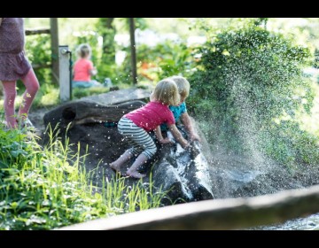 Natuurlijke speelplaats tentenveld.jpg