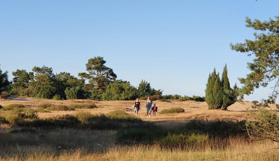 wandelen-drenthe-gezin-natuurcamping.jpg