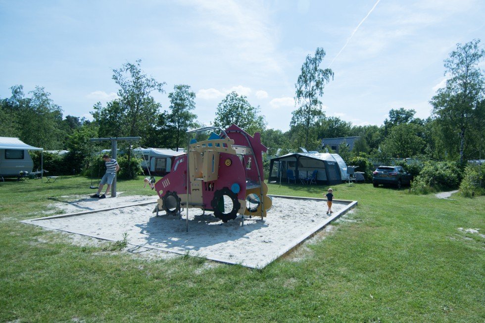 kampeerplaats-speelveld-wildlands-emmen.jpg