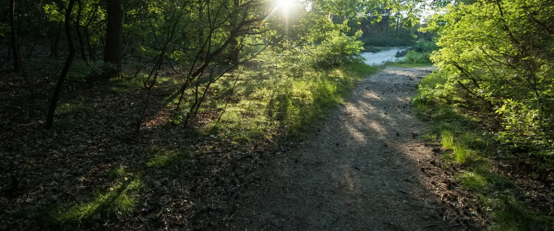 Zandkuil achter de camping