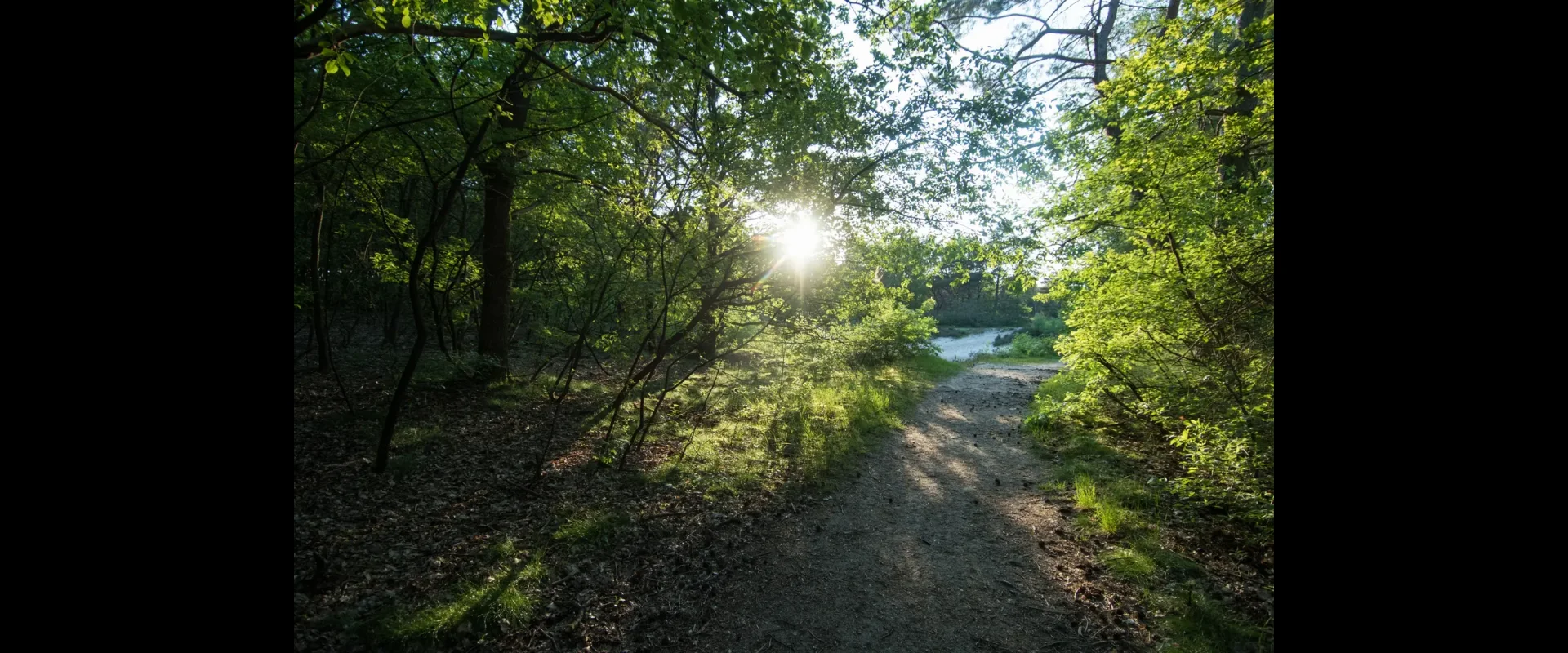 Zandkuil achter de camping