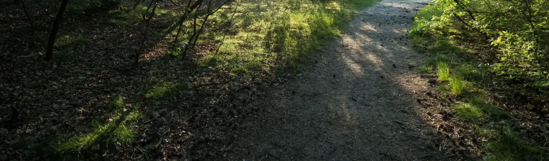 Zandkuil achter de camping