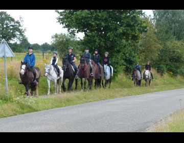 Paardrijden in gasselte.jpg