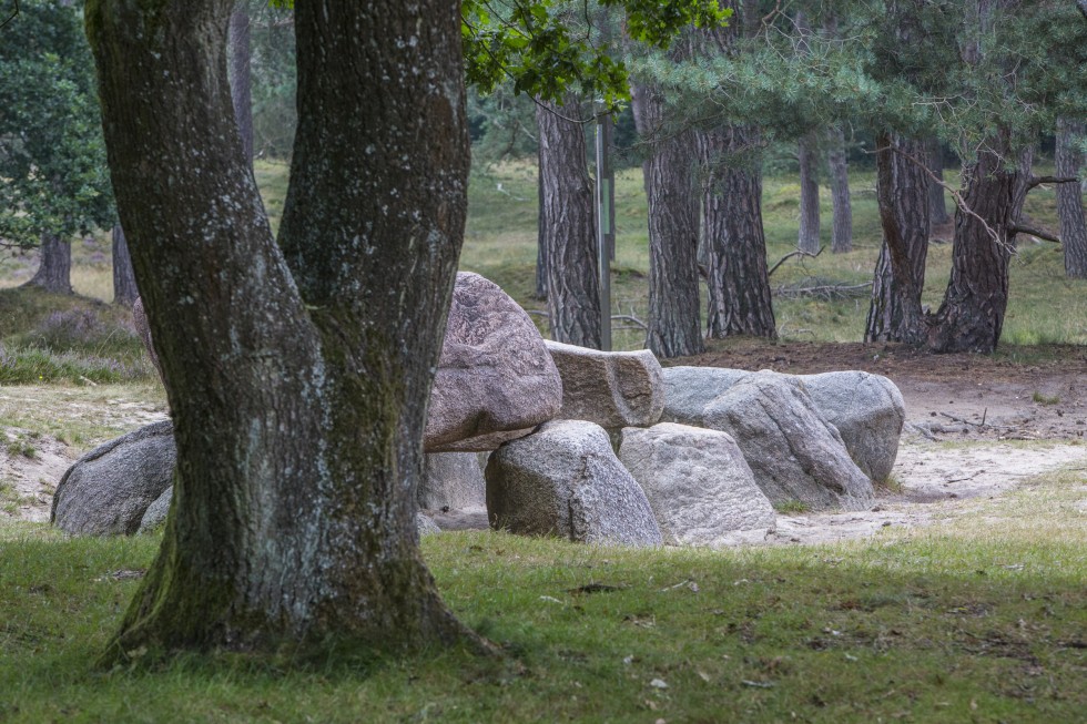 Nationaal Park Drentsche Aa DC7B1765 - hunebed Gasteren.jpg