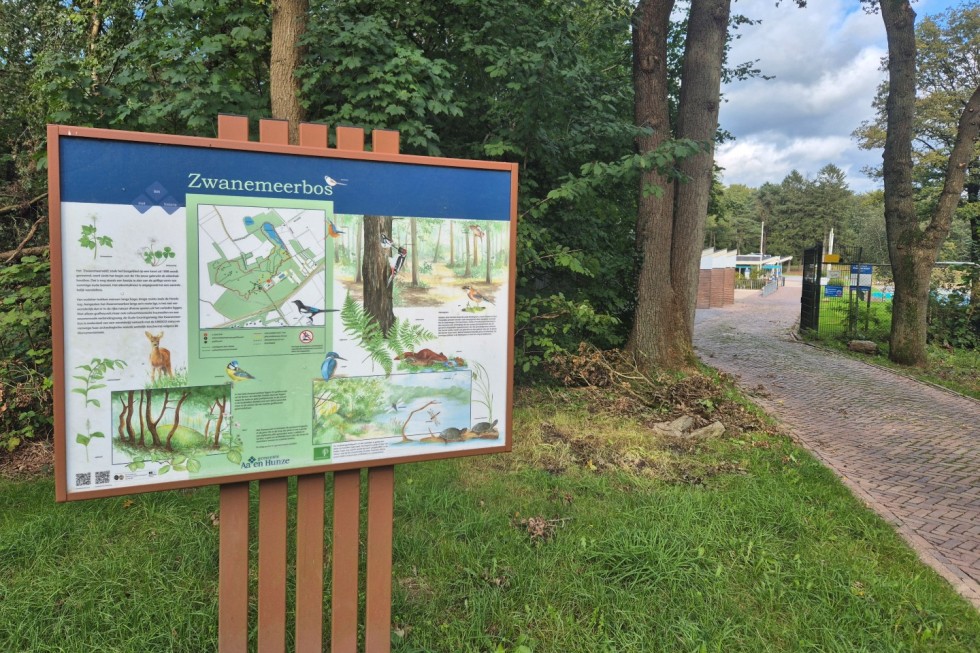 Zwanemeerbos Gieten (Large).jpg