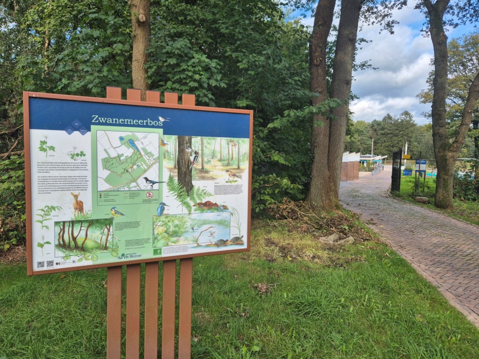 Zwanemeerbos Gieten (Large).jpg