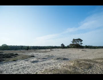Drouwenerzand