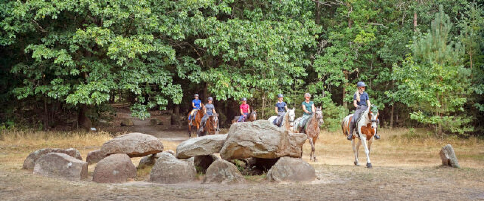 Hunebed highway drenthe.jpg