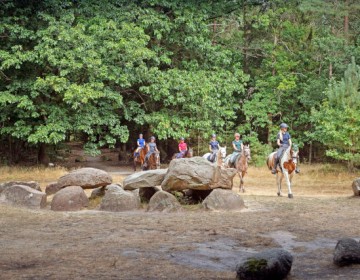 Hunebed highway drenthe.jpg