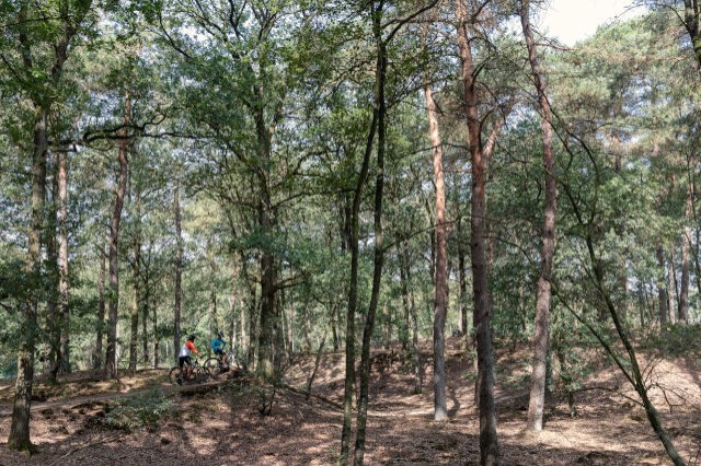 Mountainbiken in Gasselte en gieten