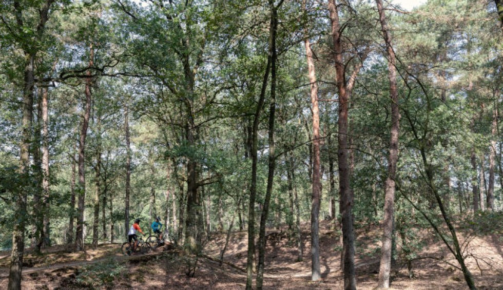 Mountainbiken in Gasselte en gieten