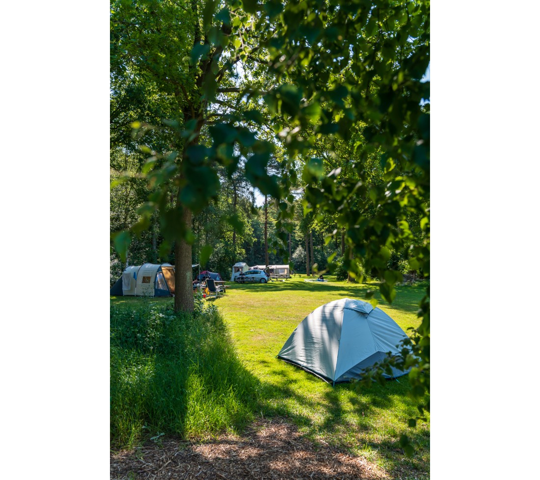 Autovrij veld met natuurplaatsen.jpg