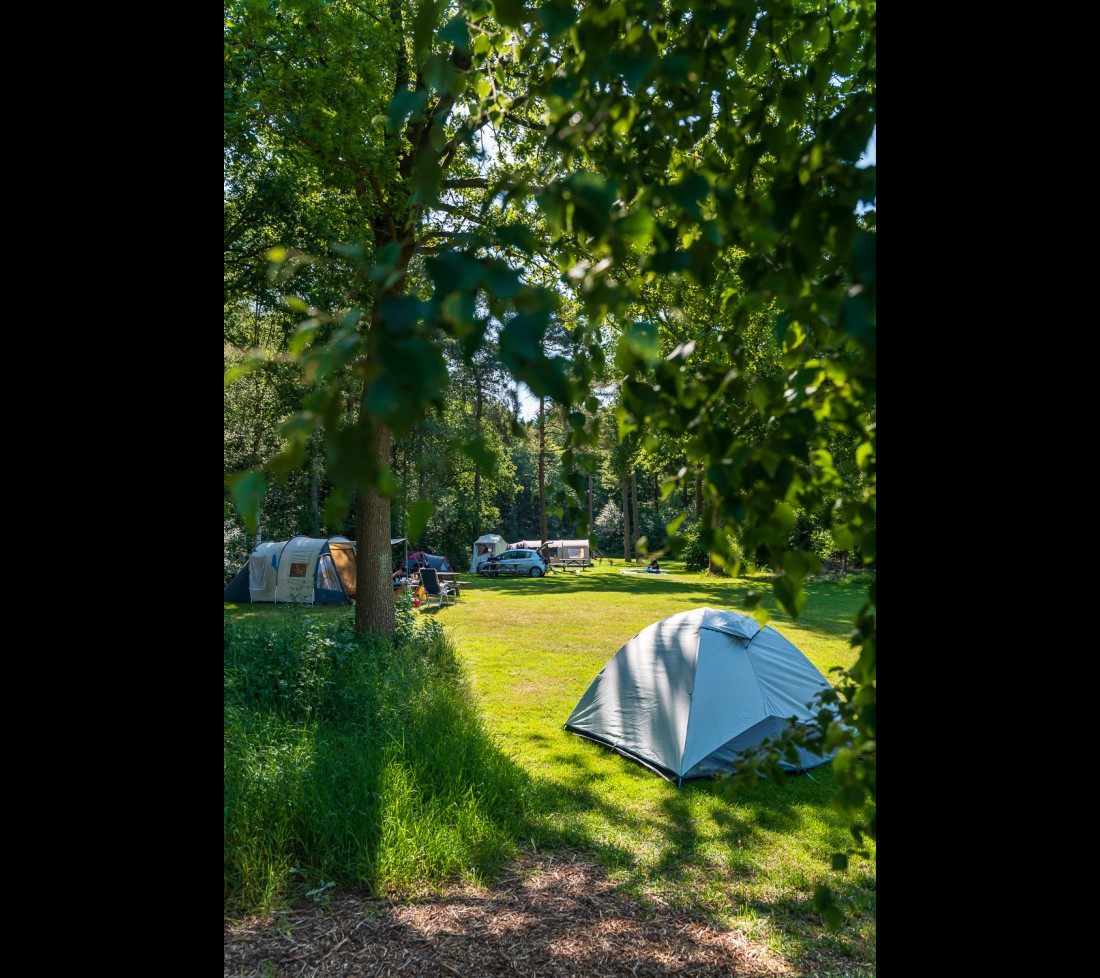 Autovrij veld met natuurplaatsen.jpg