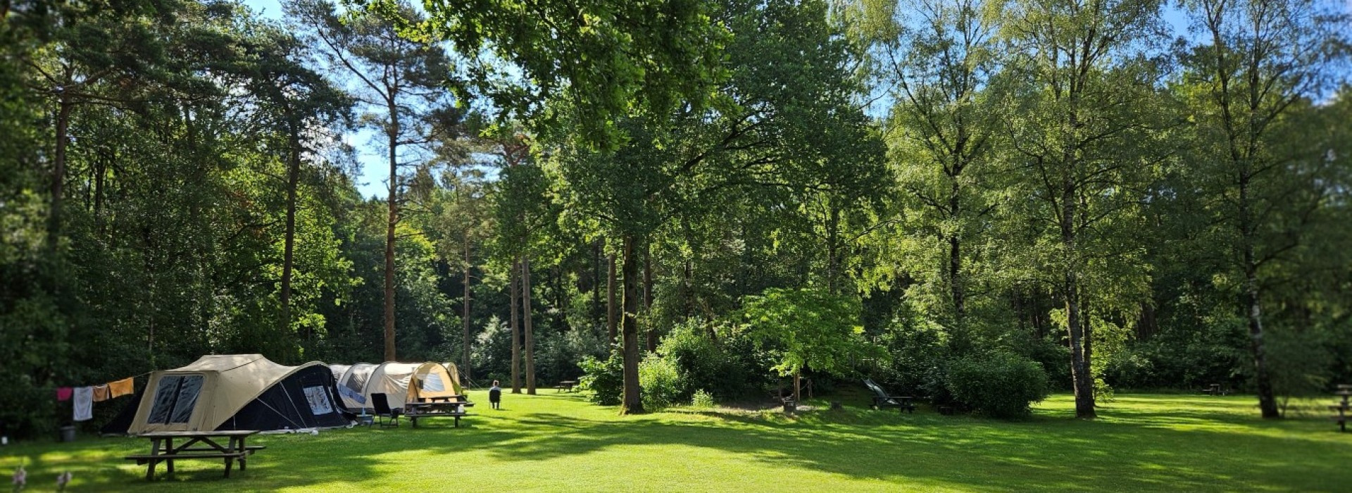 tentenveld banner camping de berken (Medium).jpg