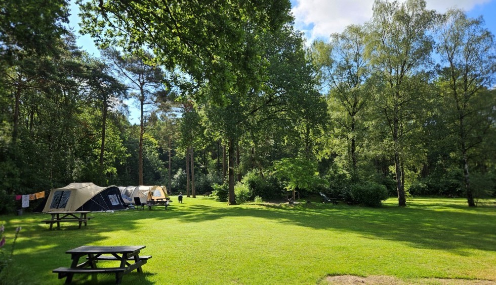 tentenveld banner camping de berken (Medium).jpg