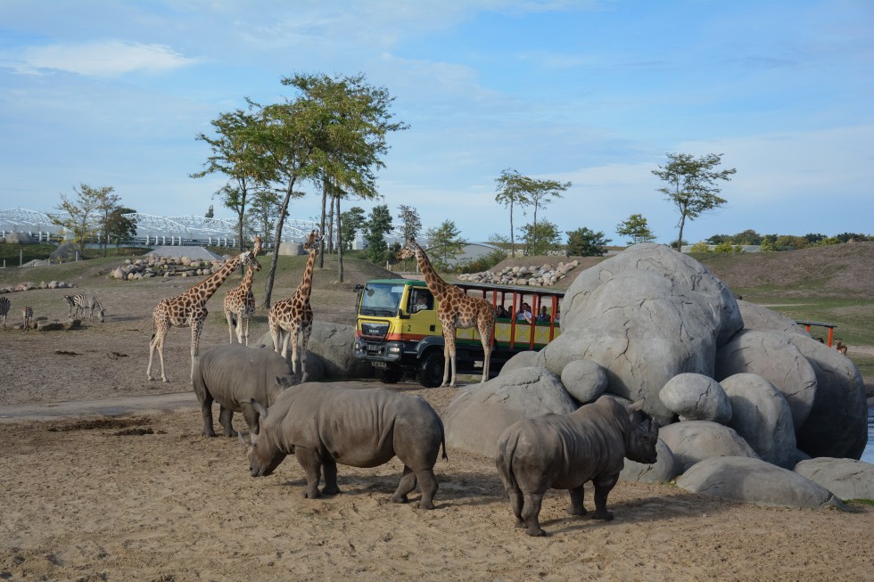 Wildlands truck savanne.jpg