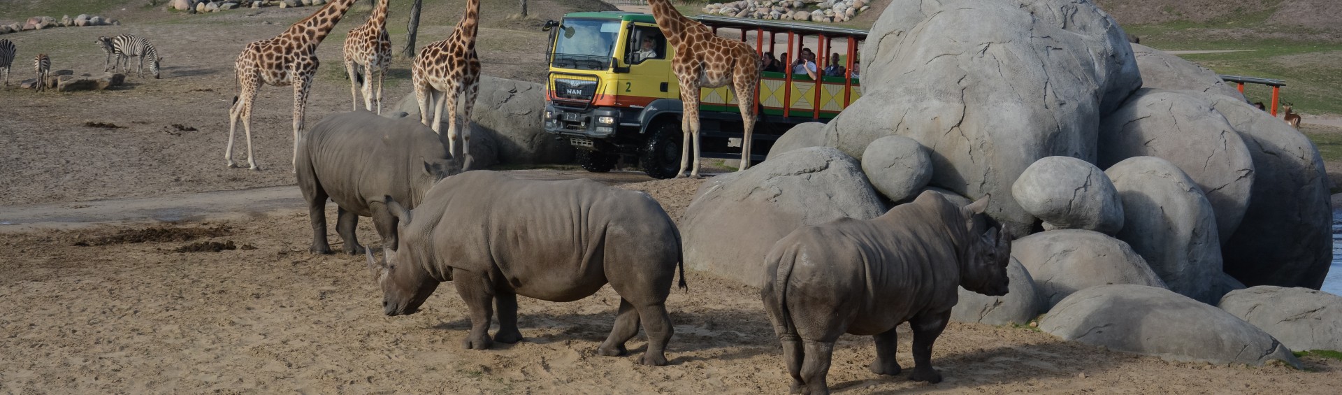 Wildlands truck savanne.jpg