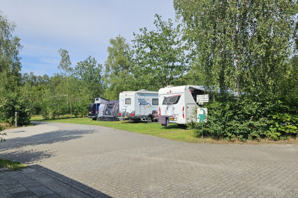 camperplaatsen-anloo-groen-veld-camping-de-berken.jpg.jpg