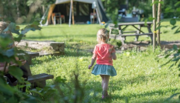 Tentplaats camping de berken.jpg