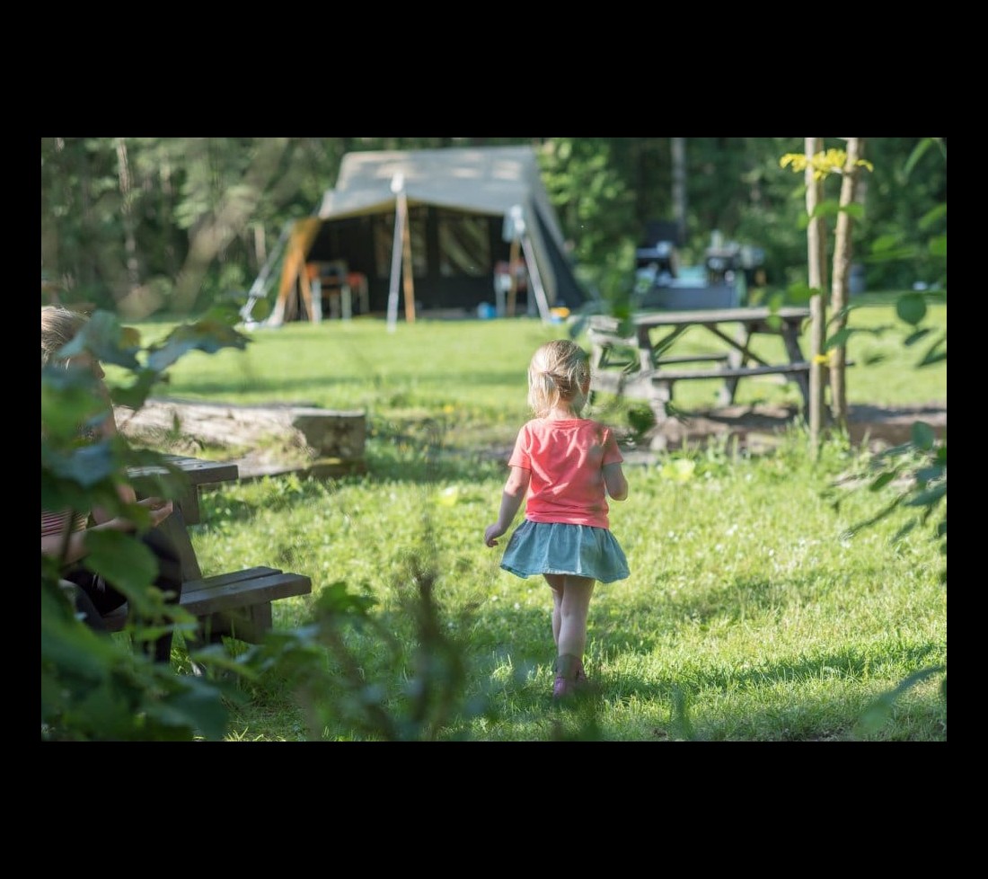 Tentplaats camping de berken.jpg