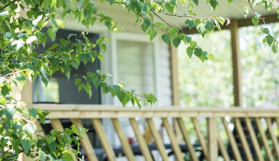 Chalet met frontkamer in Drenthe