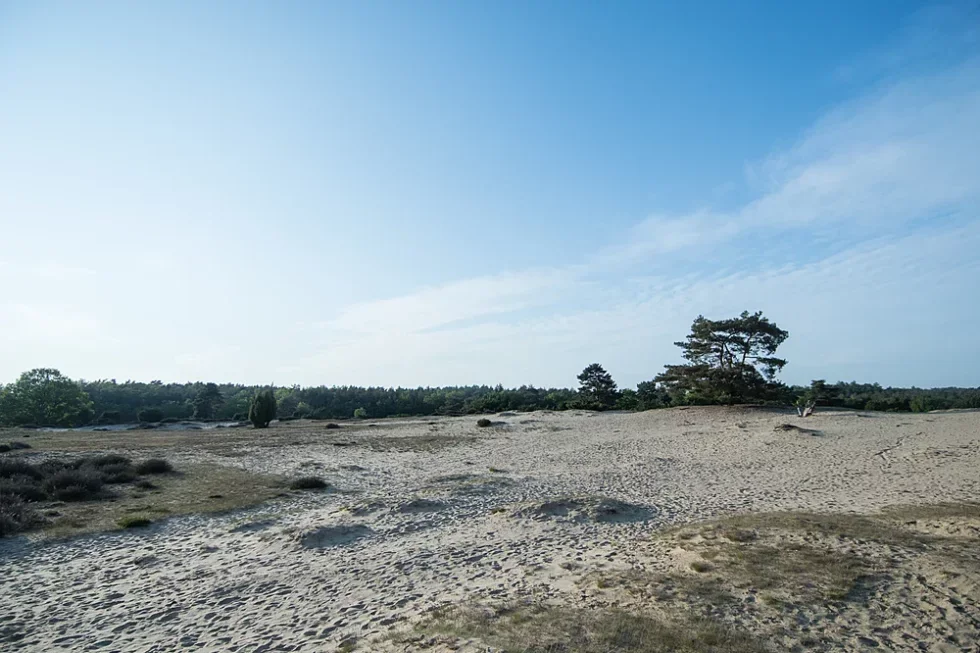 zandverstuiving-drouwenerzand-rustige-camping-drenthe.jpg