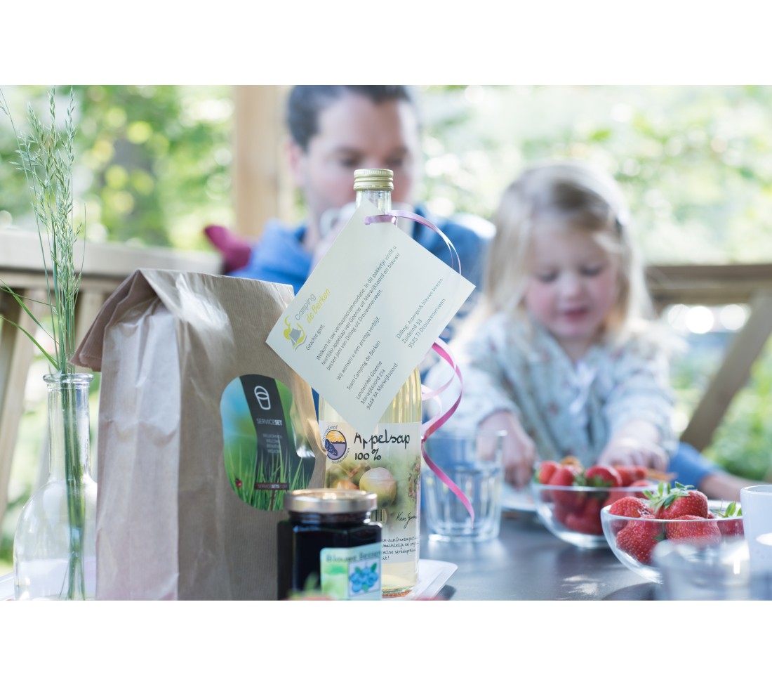 Chalet met frontkamer in Drenthe